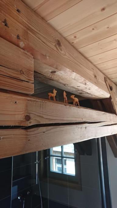 Mothsgut - Moderne Ferienwohnung Auf Dem Bauernhof Im Erzgebirge Oelsnitz  Bagian luar foto